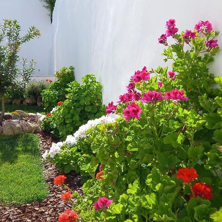 Appartamento Páteo dos Oliveira - Casa da Cocheira Évora Esterno foto