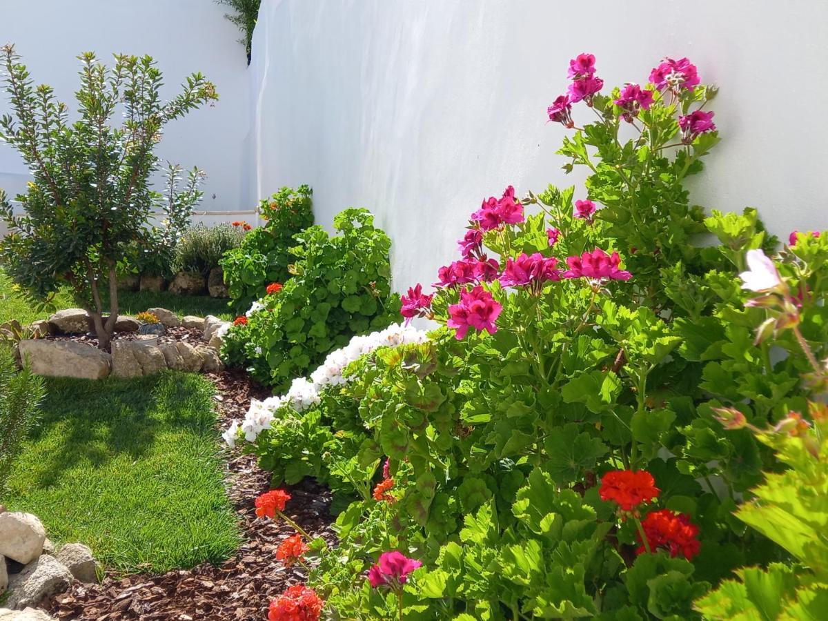 Appartamento Páteo dos Oliveira - Casa da Cocheira Évora Esterno foto