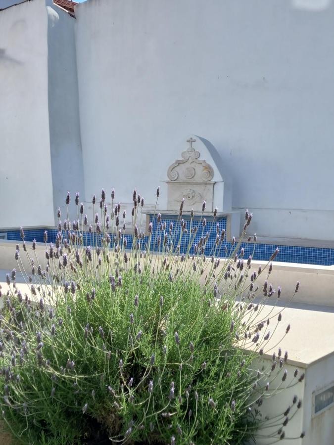 Appartamento Páteo dos Oliveira - Casa da Cocheira Évora Esterno foto